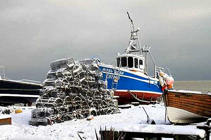 "Moss Rose" on Deal Beach, December 19 2009 (photo: Gerry Costa)
