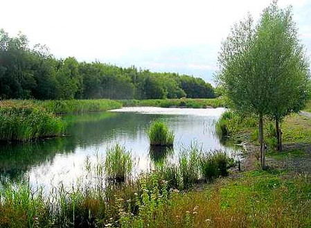 Betteshanger Country Park