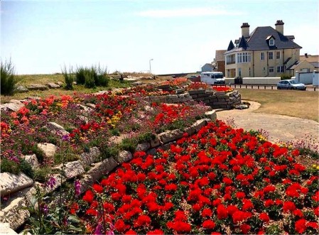 Sandown Castle Garden