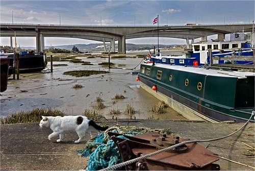 M2 Medway Bridge (photo: Ivor Dennis)