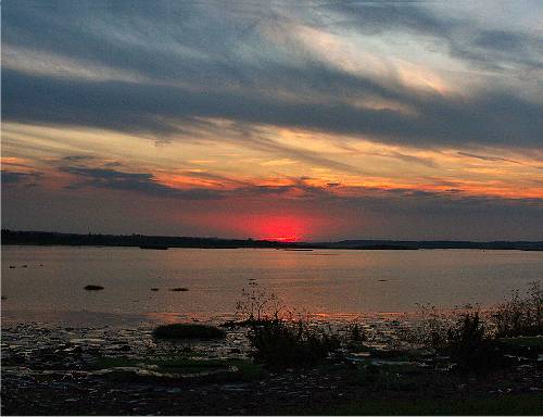 Riverside Country Park at sunset (photo: Martin Jarrett)