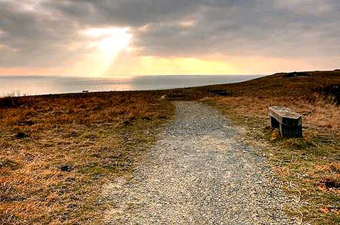 Samphire Hoe (photo: Nick Thompson)