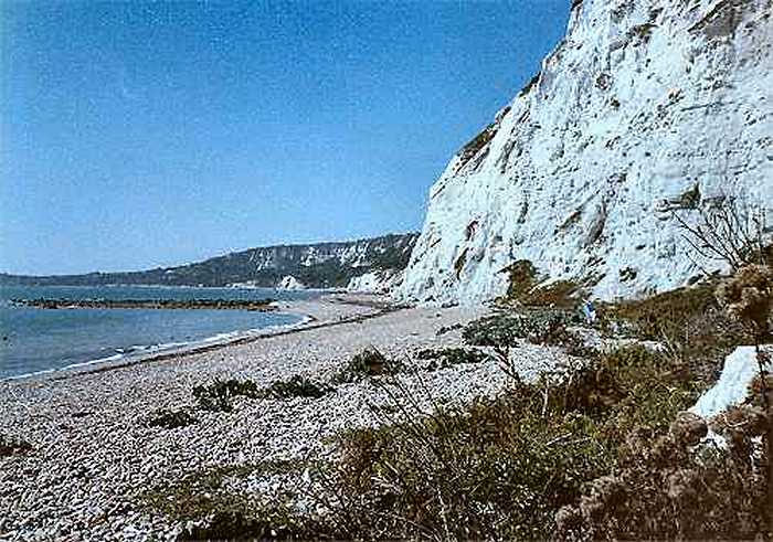 Folkestone - East Wear Bay (photo: Howard West)