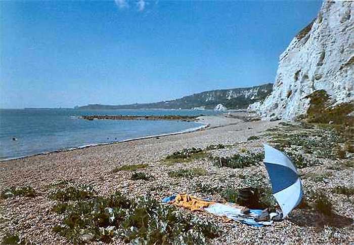 Folkestone - East Wear Bay (photo: Howard West)