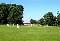 CLICK for larger image of Cricket at Otterden (photo: Graham Galer)