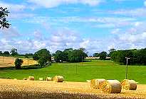 CLICK for larger image of Harvest 2007 (photo: Graham Galer)