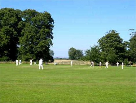 cricket club