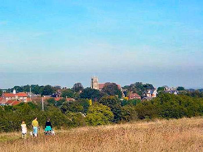 Hawkshill Freedown (photo: Gerry Costa)