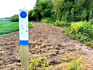 ploughed path at ripple