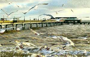 Seagulls over Deal Pier (photo: Steve Wakeford