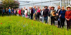 Celebrating Deal rail station poppy meadow (photo: Steve Wakeford)