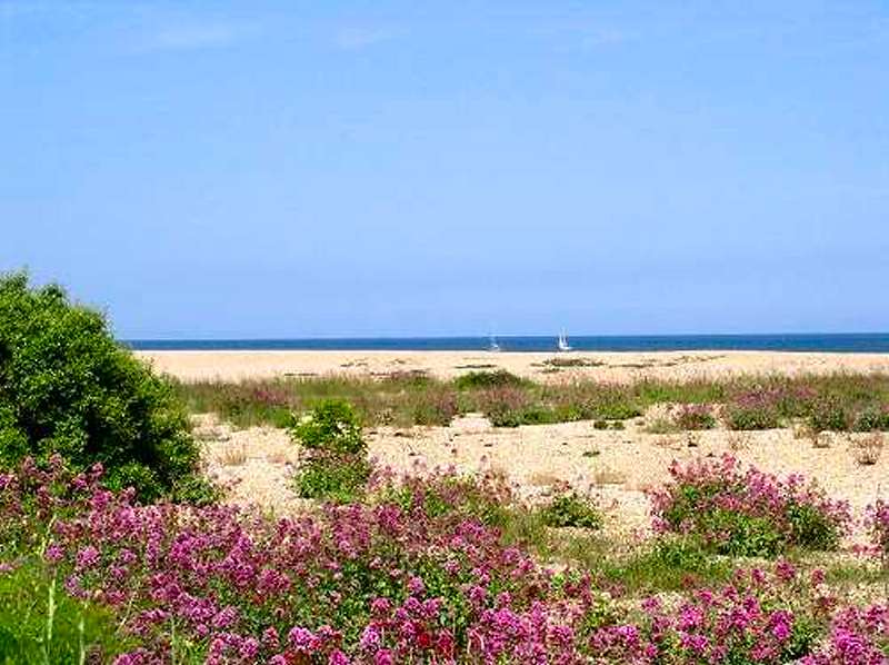 Walmer Beach (photo: Harold Wyld)