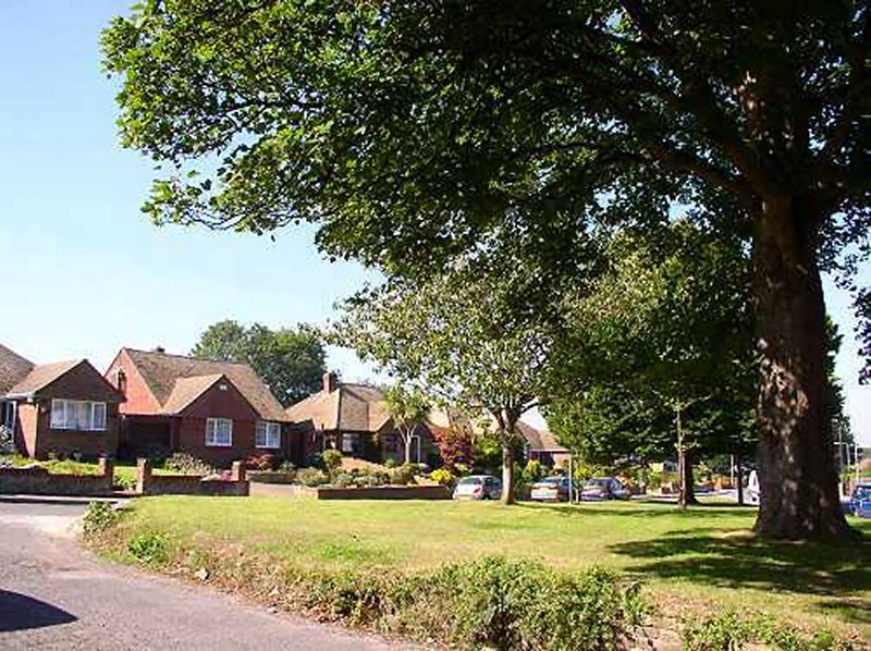 Station Road, Walmer (photo: Harold Wyld)