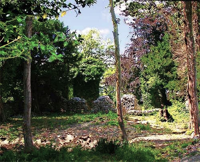 Walmer Court ruins (photo: Harold Wyld)