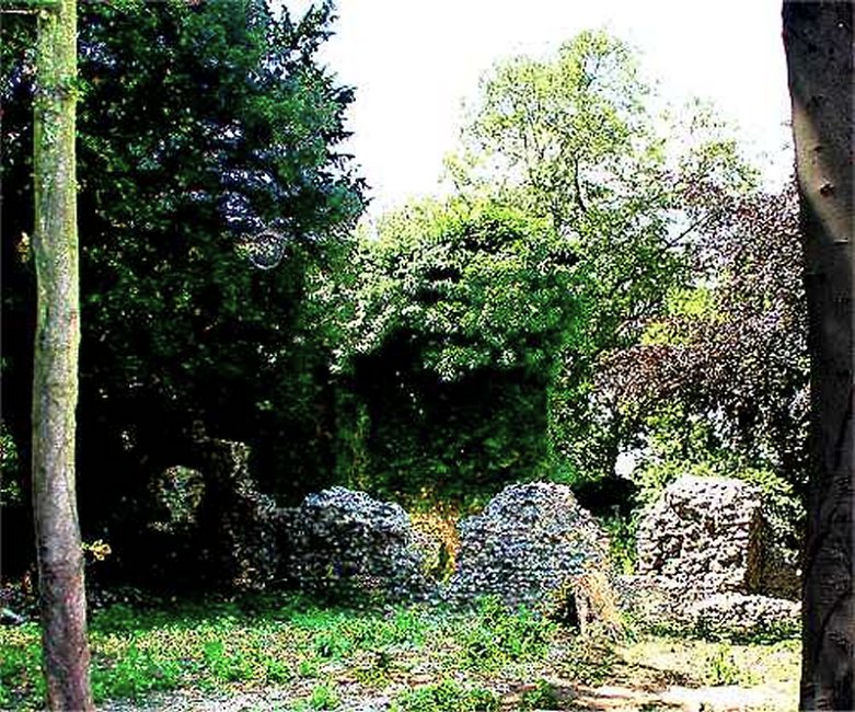 Walmer Court ruins (photo: Harold Wyld)
