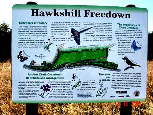 Hawkshill Freedown information board