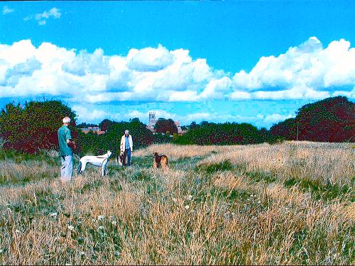 dogwalkers on Hawkshill freedown