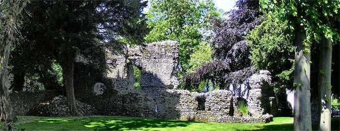 Walmer Court ruins - June 2012 (photo: Harold Wyld)