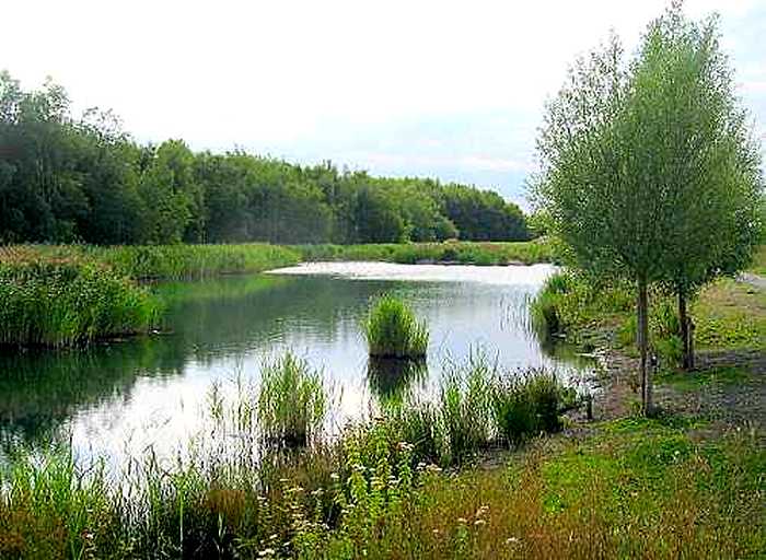 Betteshanger Country Park (photo: Rob Riddle)
